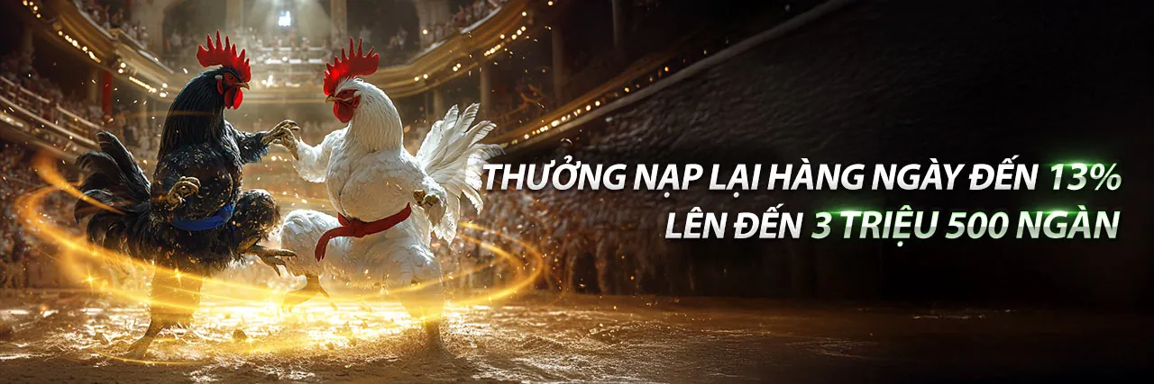 Hình ảnh nền các chương trình khuyến mãi mới nhất của DU88